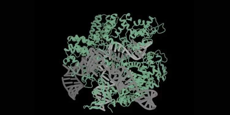 Profluent Announces AI Gene Editor Generator OpenCRISPR to Enable Creating Bespoke Cures for Diseases