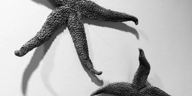 “Exploring the Magic of Art and Entertainment”