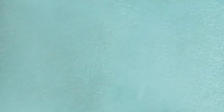 “Deportes: The Universal Language of Joy and Unity”