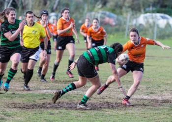 “The Unifying Power of Sports: Joy, Inspiration, and Camaraderie”