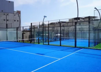 “Sports: A Universal Language Uniting Cultures and Minds”