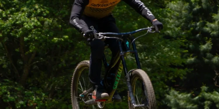 “The Enduring Impact of Sports on Human Culture”