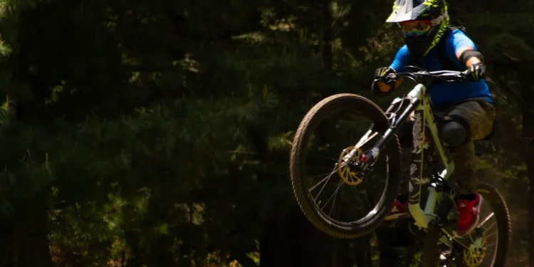 “The Timeless Appeal of Sports: A Centuries-Long Obsession”