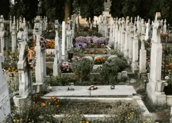 Where Did We Get the Phrase ‘Publish or Perish’?