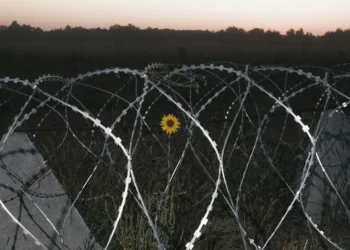 Ukraine looking to create buffer zone in Russia’s Kursk: Zelenskyy