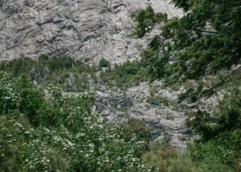 “The Magic of Art and Entertainment: Adding Vibranc to Life”