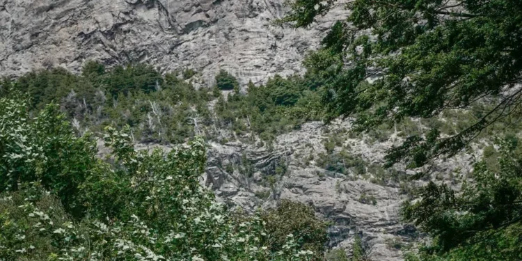 “The Magic of Art and Entertainment: Adding Vibranc to Life”