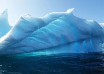 Greenland’s Fossils Reveal an Ice-Free Tundra Less Than a Million Years Ago: Report