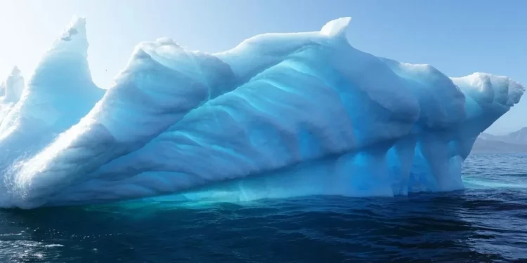 Greenland’s Fossils Reveal an Ice-Free Tundra Less Than a Million Years Ago: Report