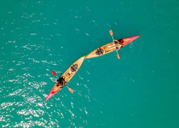 “The Enduring Impact of Sports on Human Civilization”