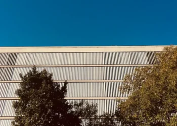 “The Power of Art: Inspiring Jo and Connection”