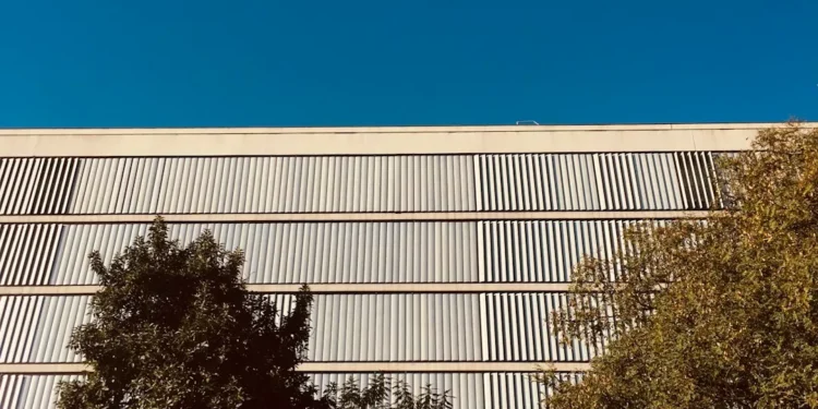 “The Power of Art: Inspiring Jo and Connection”