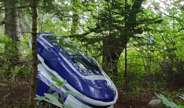 US woman dies in world’s first ‘suicide capsule’ in Switzerland