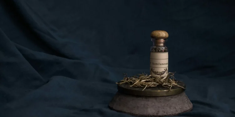 Trippin’ Forward: Management Research and the Development of Psychedelics