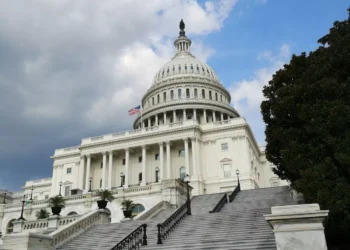 “Beyond the Scandals: The Positive Role of Politics”