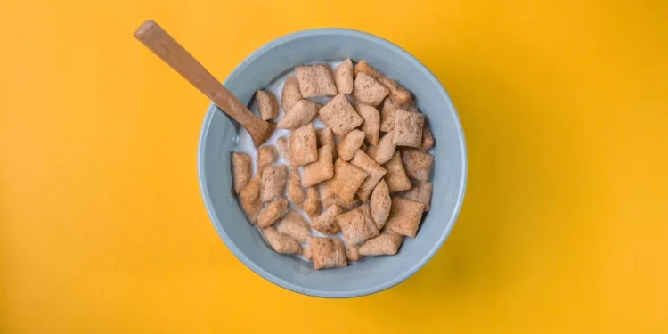 “The Holistic Concept of Salud: Mind, Body, and Spirit”