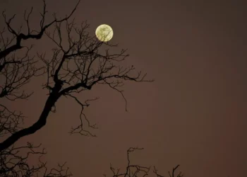 “Discovering Salud: A Hidden Gem in Sinaloa, Mexico”