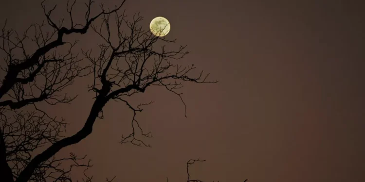 “Discovering Salud: A Hidden Gem in Sinaloa, Mexico”