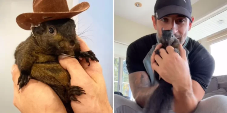 Peanut the Squirrel’s Death Sparks Bomb Threats As Officials Work From Home