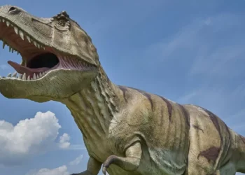 Fossilised Dinosaur Droppings Could Reveal Secrets Behind Their Evolution into a Dominant Species, Says Study