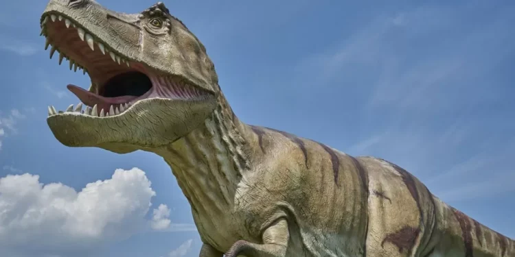 Fossilised Dinosaur Droppings Could Reveal Secrets Behind Their Evolution into a Dominant Species, Says Study