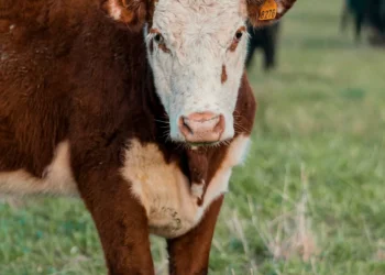 “Unlocking the Power of Financial Literacy: A Positive Perspective”