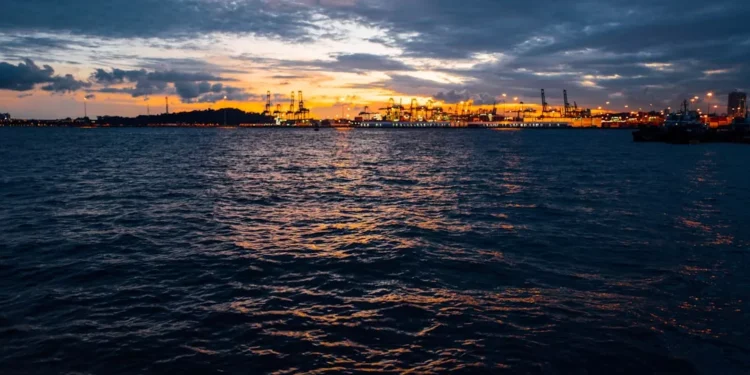 “The Growing Importance of Resource Allocation in Global Societies”