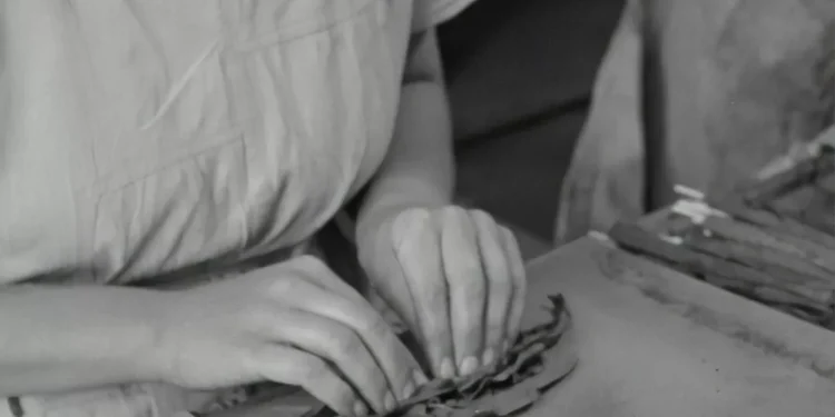 “The Power of Economía: Shaping Our World Through Production and Consumption”