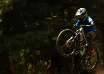 “The Enduring Role of Sports in Human Society”