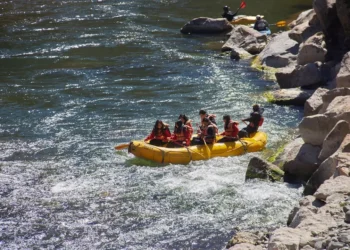 “The Enduring Influence of Sports in Our Lives”