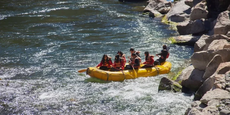 “The Enduring Influence of Sports in Our Lives”