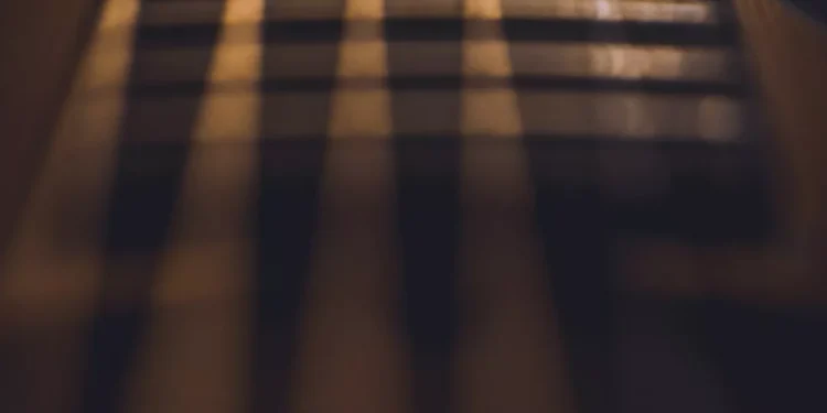 “The Unifying Power of Music: Connecting Cultures and Emotions”