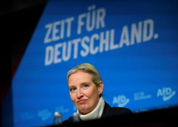 Far-right AfD leader set to hold live chat with Elon Musk