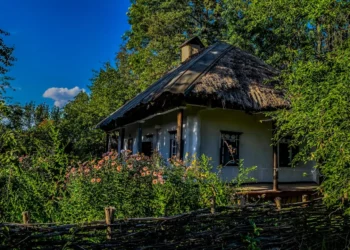 Unlocking the Power of Economía: My Paltzer University Experience