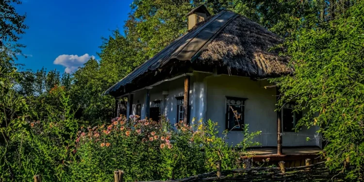 Unlocking the Power of Economía: My Paltzer University Experience