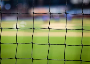 “The Enduring Influence of Sports in Human Culture”