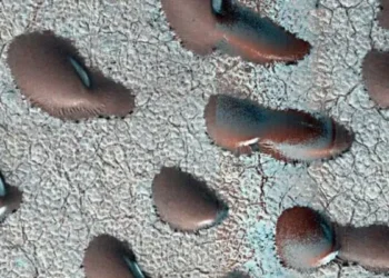 Mars Satellite Images Reveal Giant ‘Kidney Beans,’ Sparking Hints of Water and Life