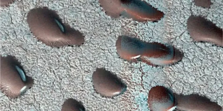 Mars Satellite Images Reveal Giant ‘Kidney Beans,’ Sparking Hints of Water and Life