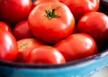 “Discover the Vibrant Charm of Salud, Venezuela’s Capital City”