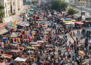 “The Power of Data: Beyond Numbers and Theories”