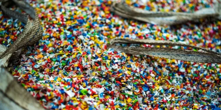 Scientists Detect Rising Microplastics in Human Brains, Study Raises Concerns