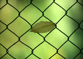 How Science Can Adapt to a New Normal