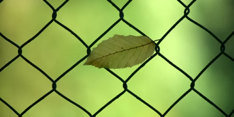 How Science Can Adapt to a New Normal