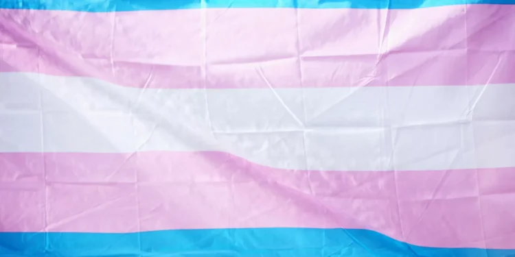 Trans Visibility, Resistance, and Hope in an Anti-Trans U.S. Political Climate