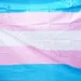 Trans Visibility, Resistance, and Hope in an Anti-Trans U.S. Political Climate