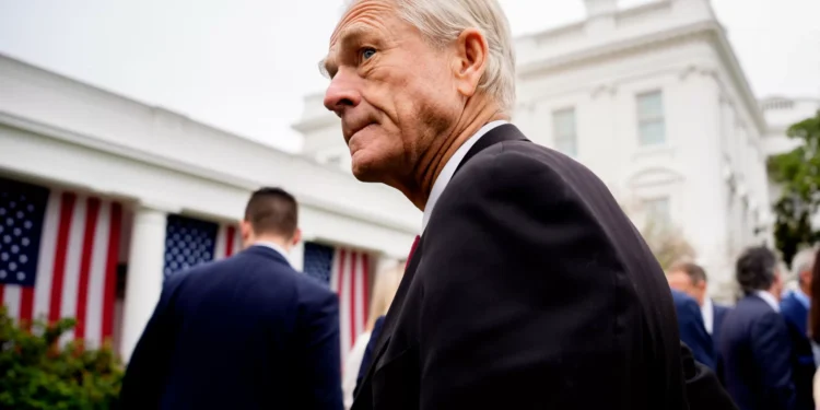 Trump Adviser Says Elon Musk Is ‘Simply Protecting His Own Interests’