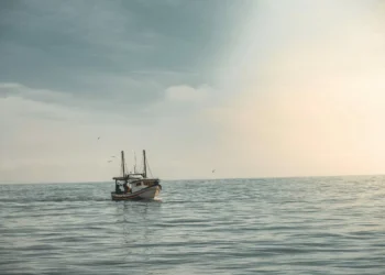 From Isolation to Impact: Tackling the Emotional Toll of Ethnographic Research in Business and Society