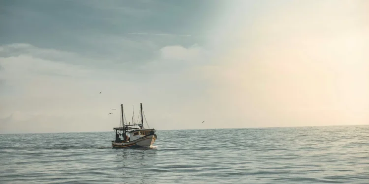 From Isolation to Impact: Tackling the Emotional Toll of Ethnographic Research in Business and Society