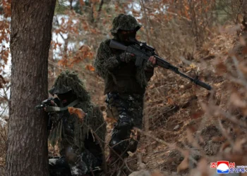 Putin lauds ‘heroes’ as N. Korea confirms Russia troop deployment