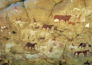 7000 Years Old Genome Analysis Unveiled Lush Green Habitat of Sahara Desert